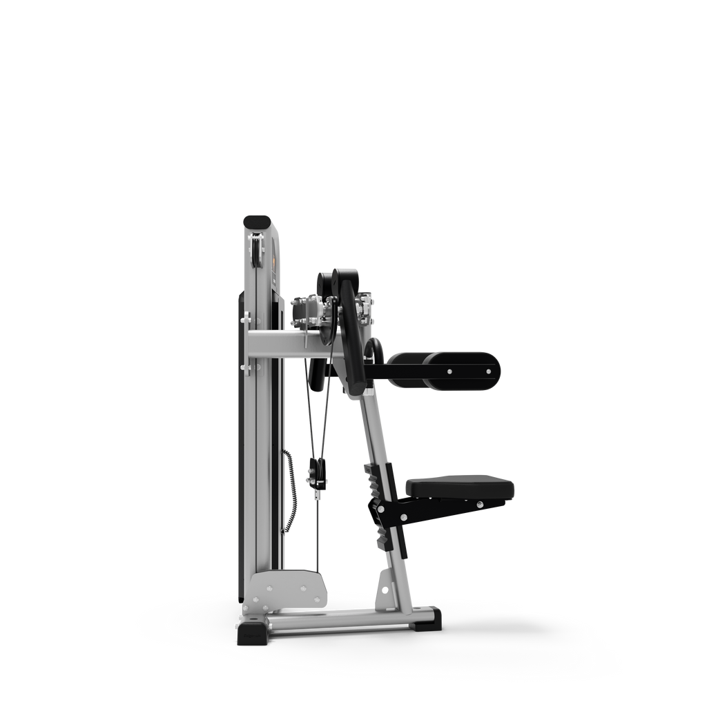 Lateral Raise