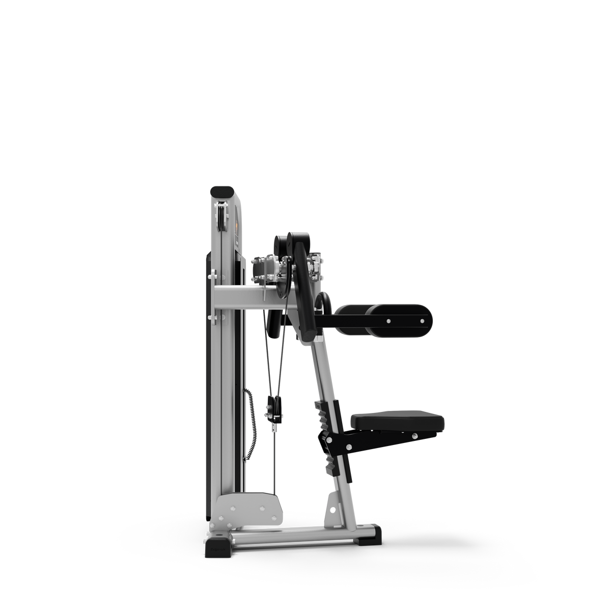 Lateral Raise