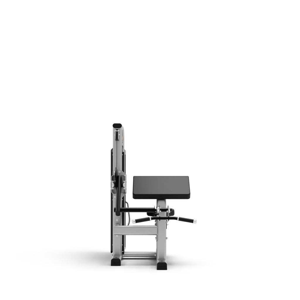 Bicep Curl