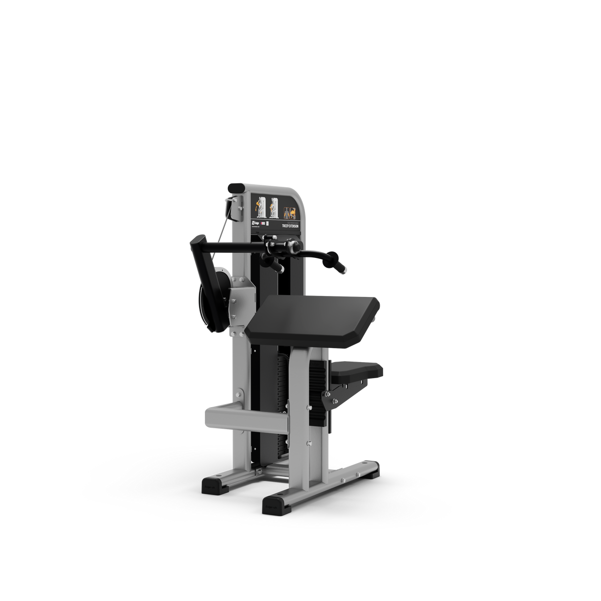 Tricep Extension