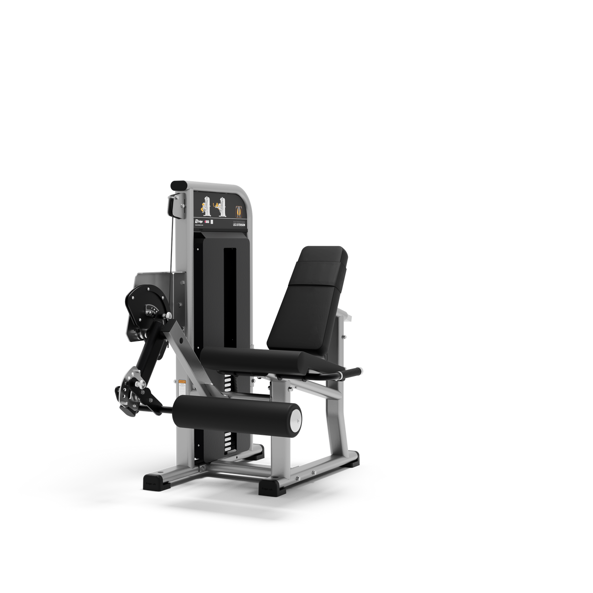 Leg Extension