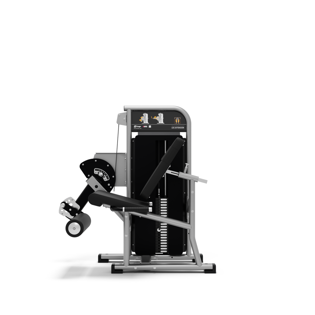 Leg Extension