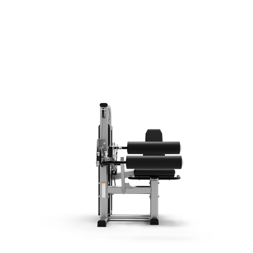 Seated Leg Curl