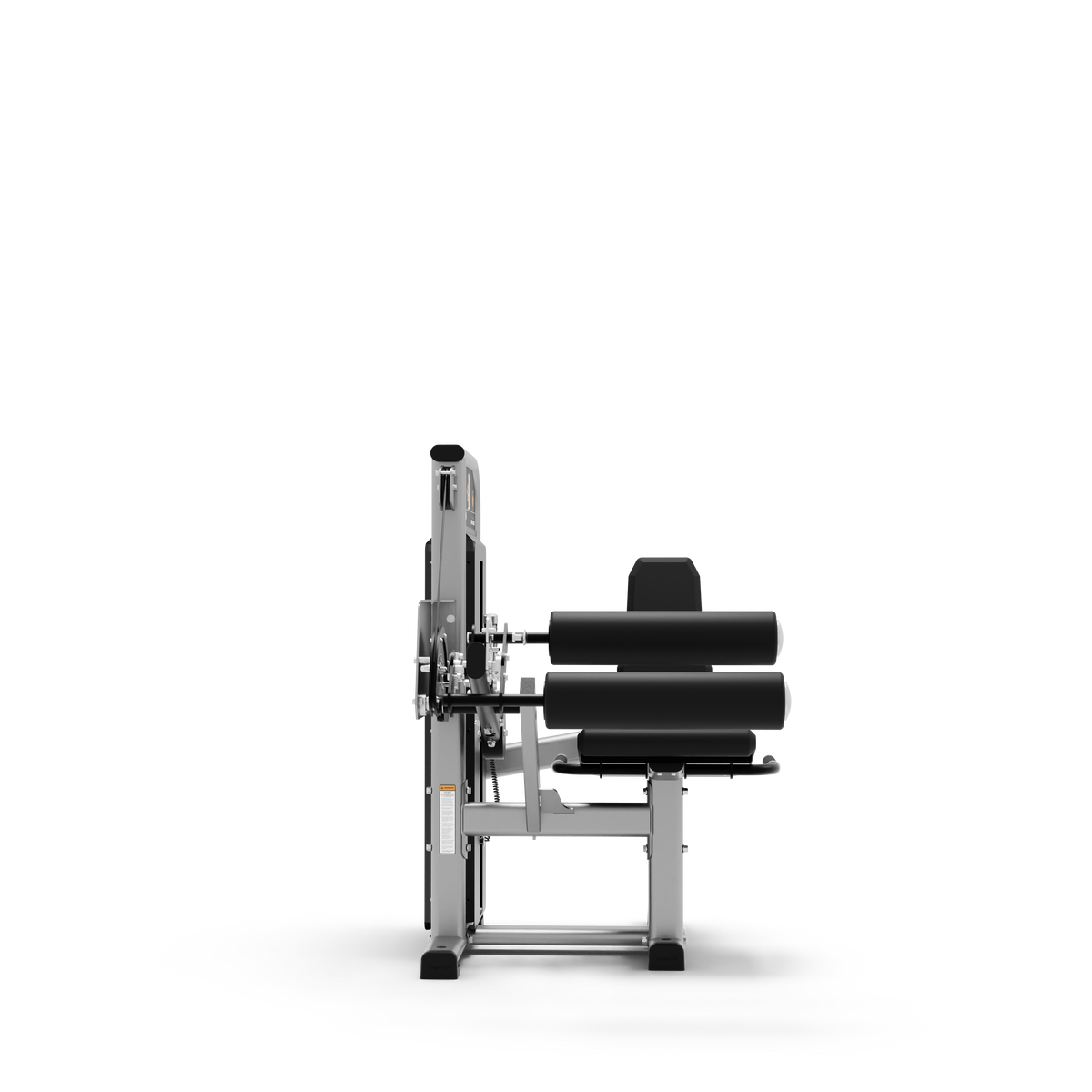 Seated Leg Curl