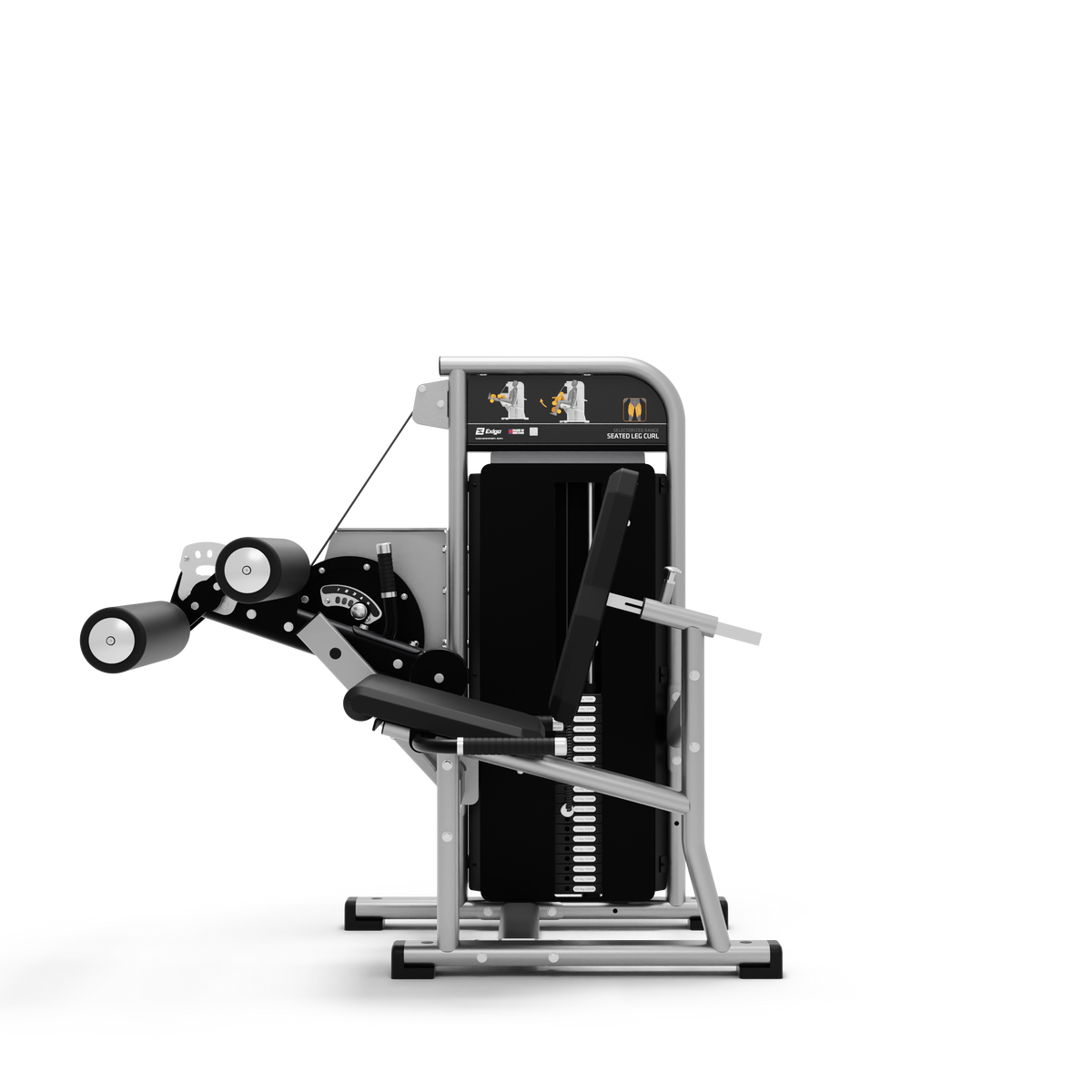Seated Leg Curl