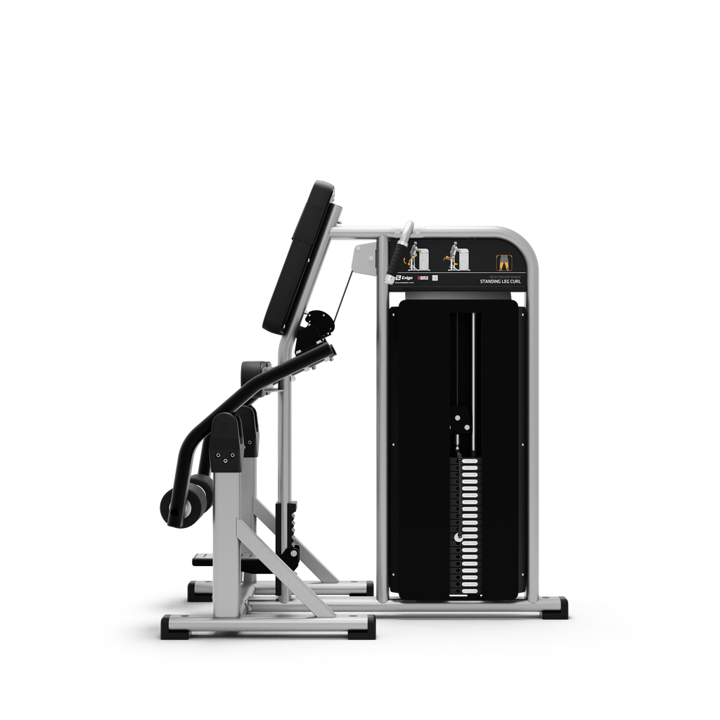 Standing Leg Curl