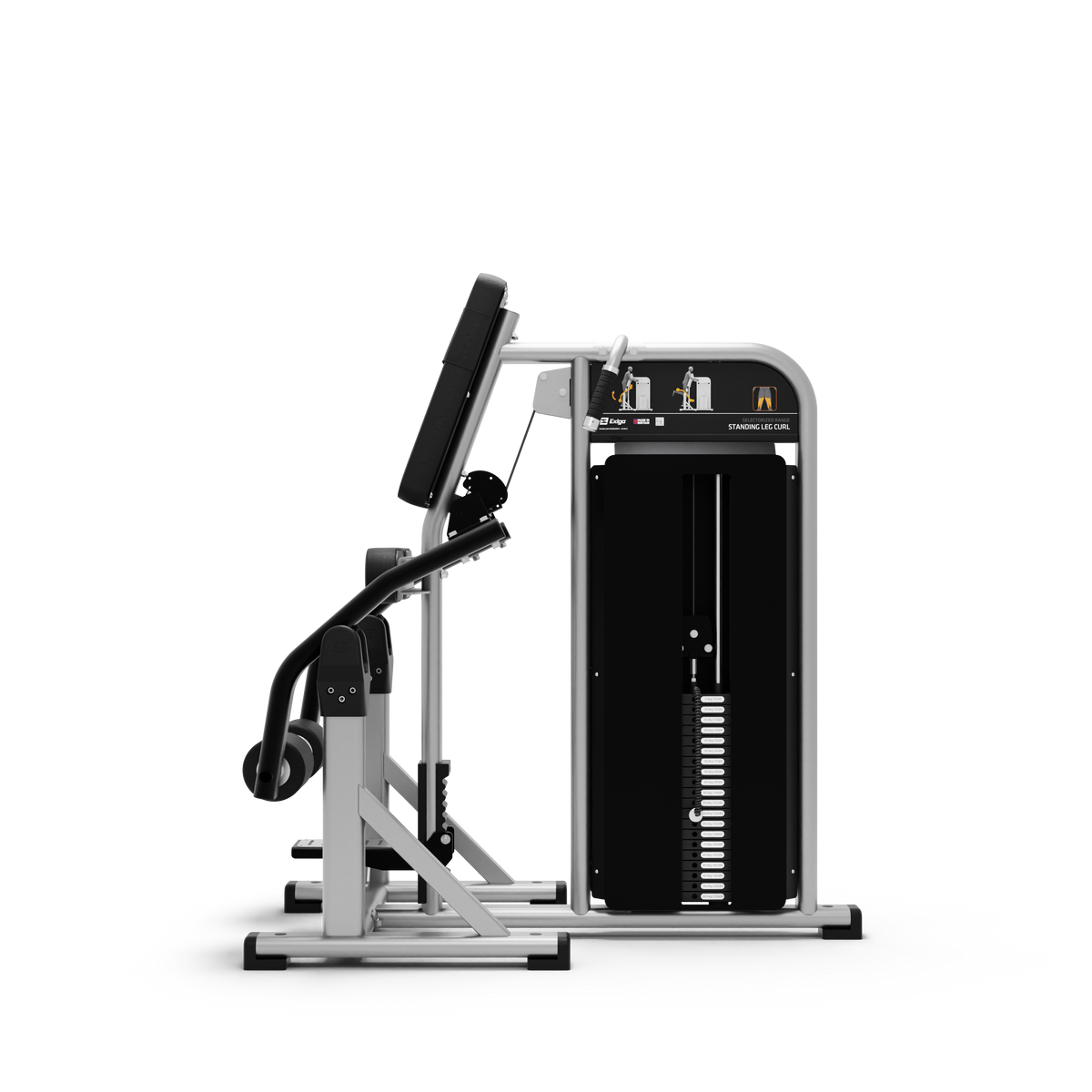 Standing Leg Curl