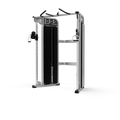 Dual Adjustable Pulley Multi Grip Chinning Bar