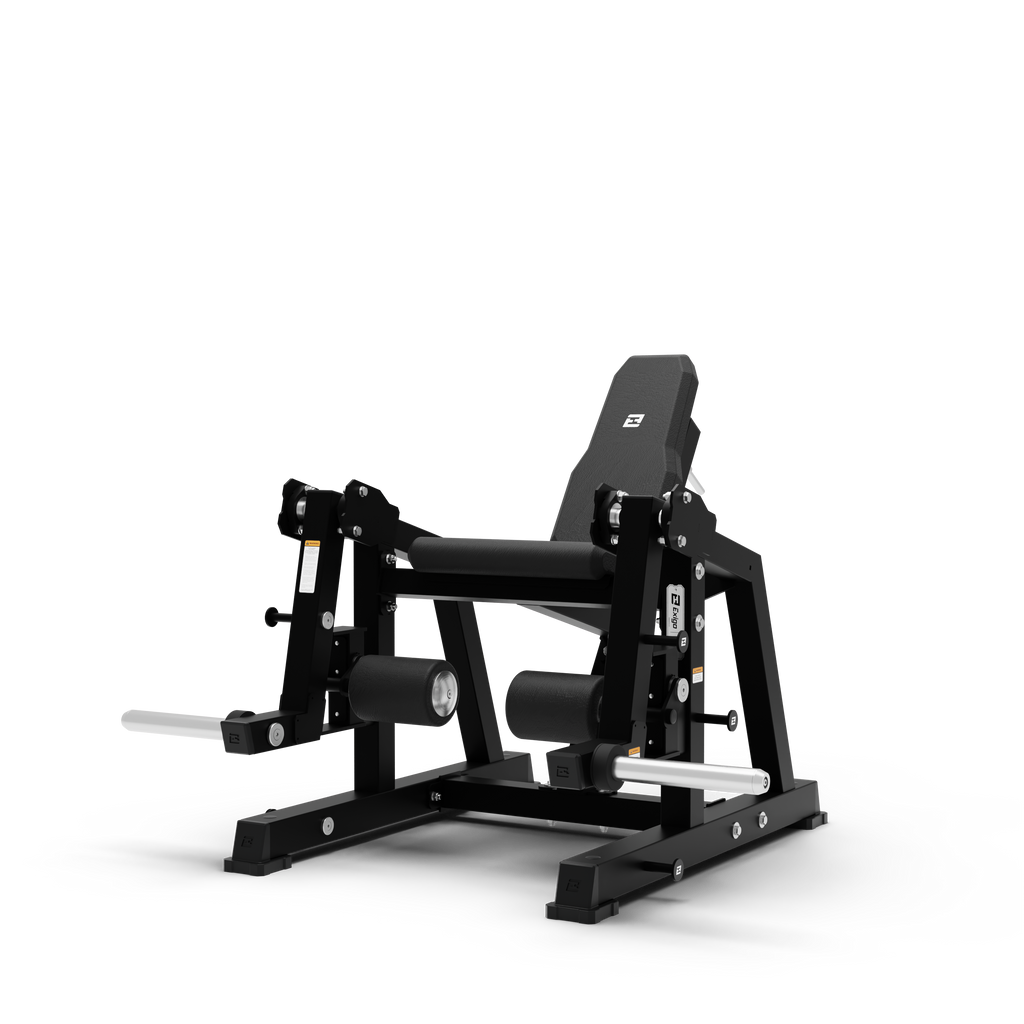 ISO Leg Extension