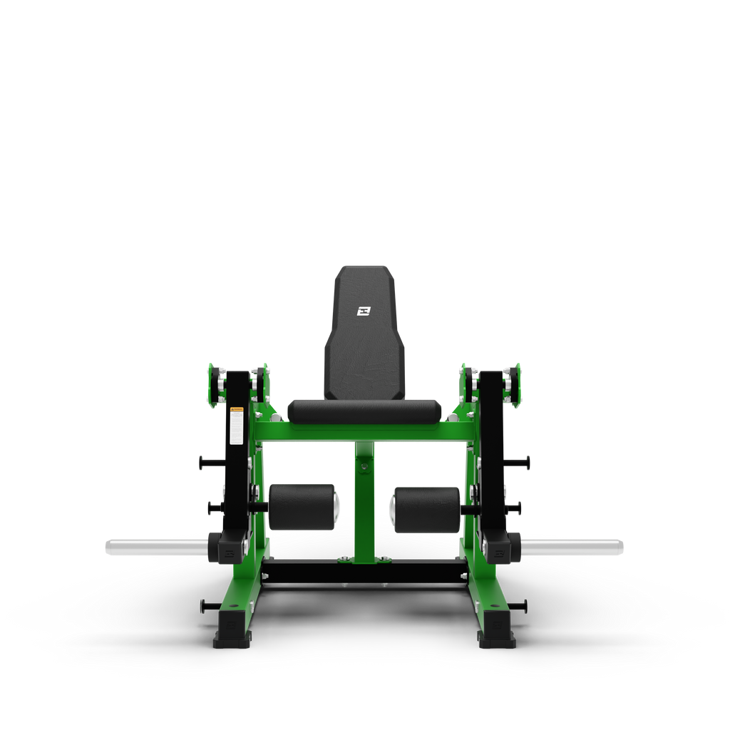ISO Leg Extension
