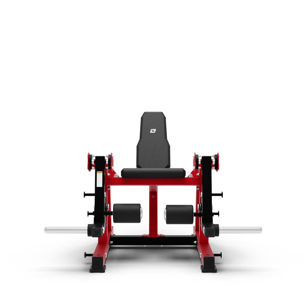 ISO Leg Extension