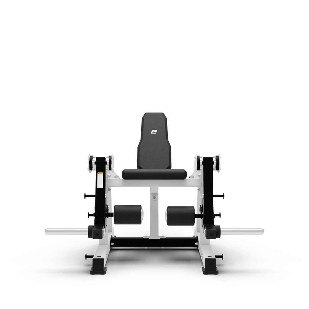 ISO Leg Extension