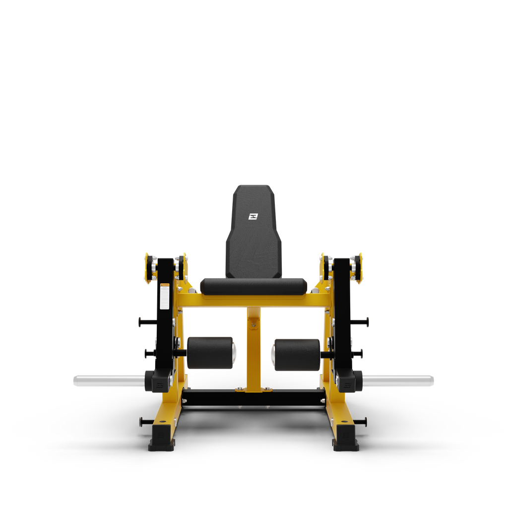 ISO Leg Extension