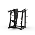 ISO Shoulder Press