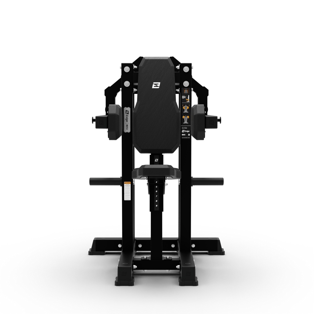 ISO Lateral Raise