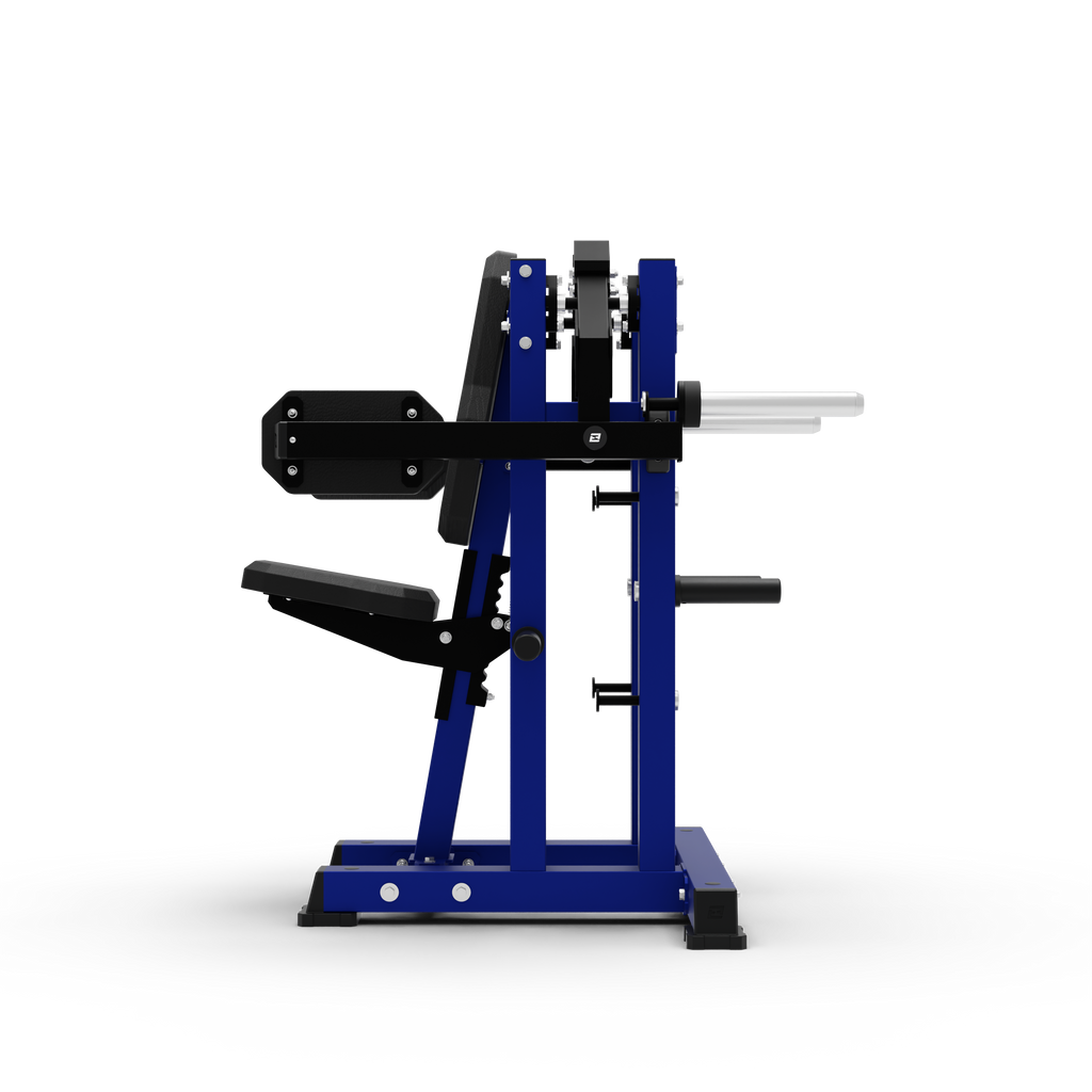 ISO Lateral Raise