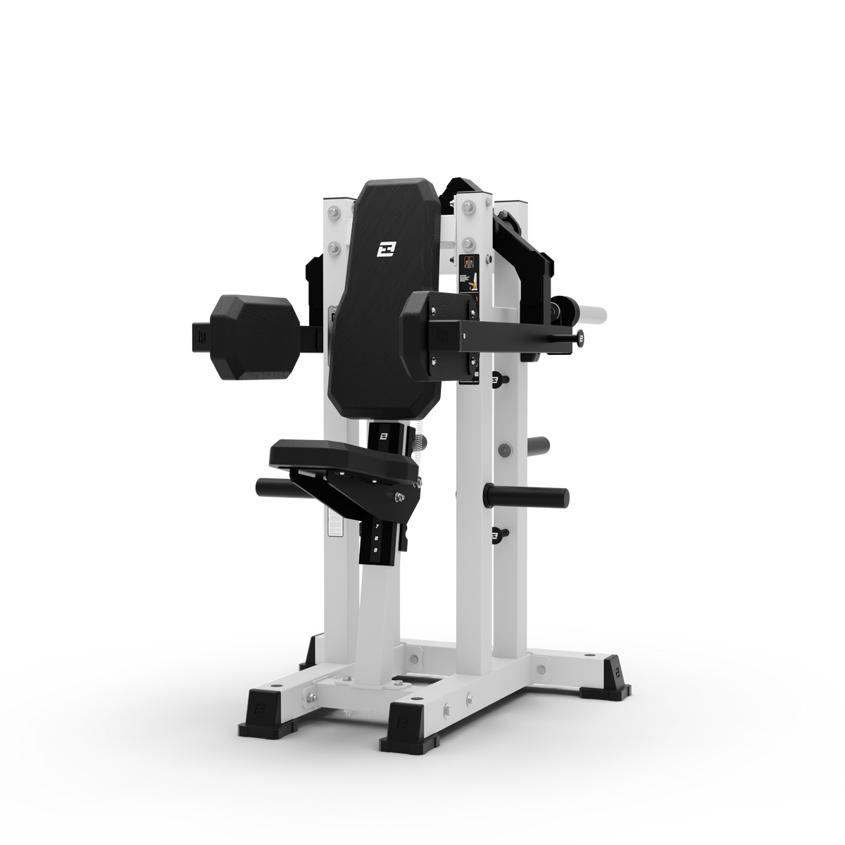 ISO Lateral Raise