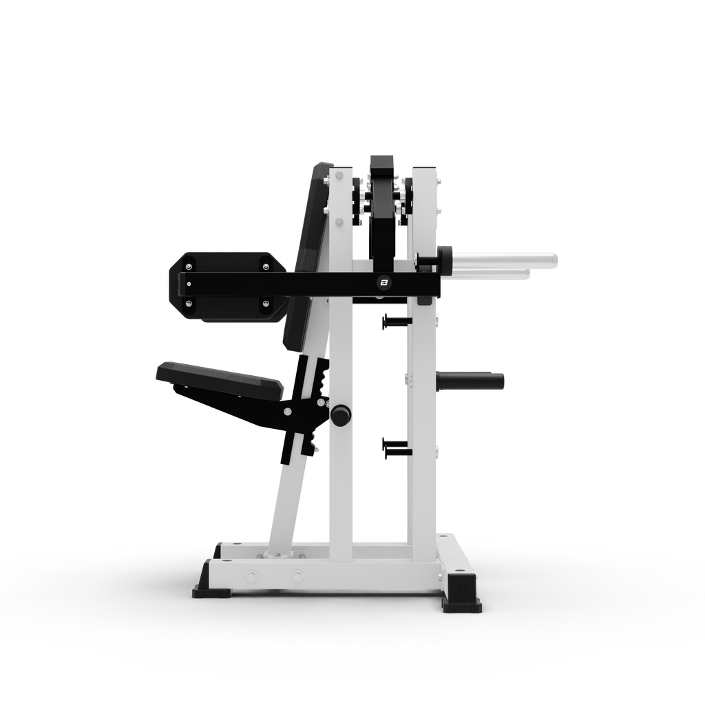 ISO Lateral Raise