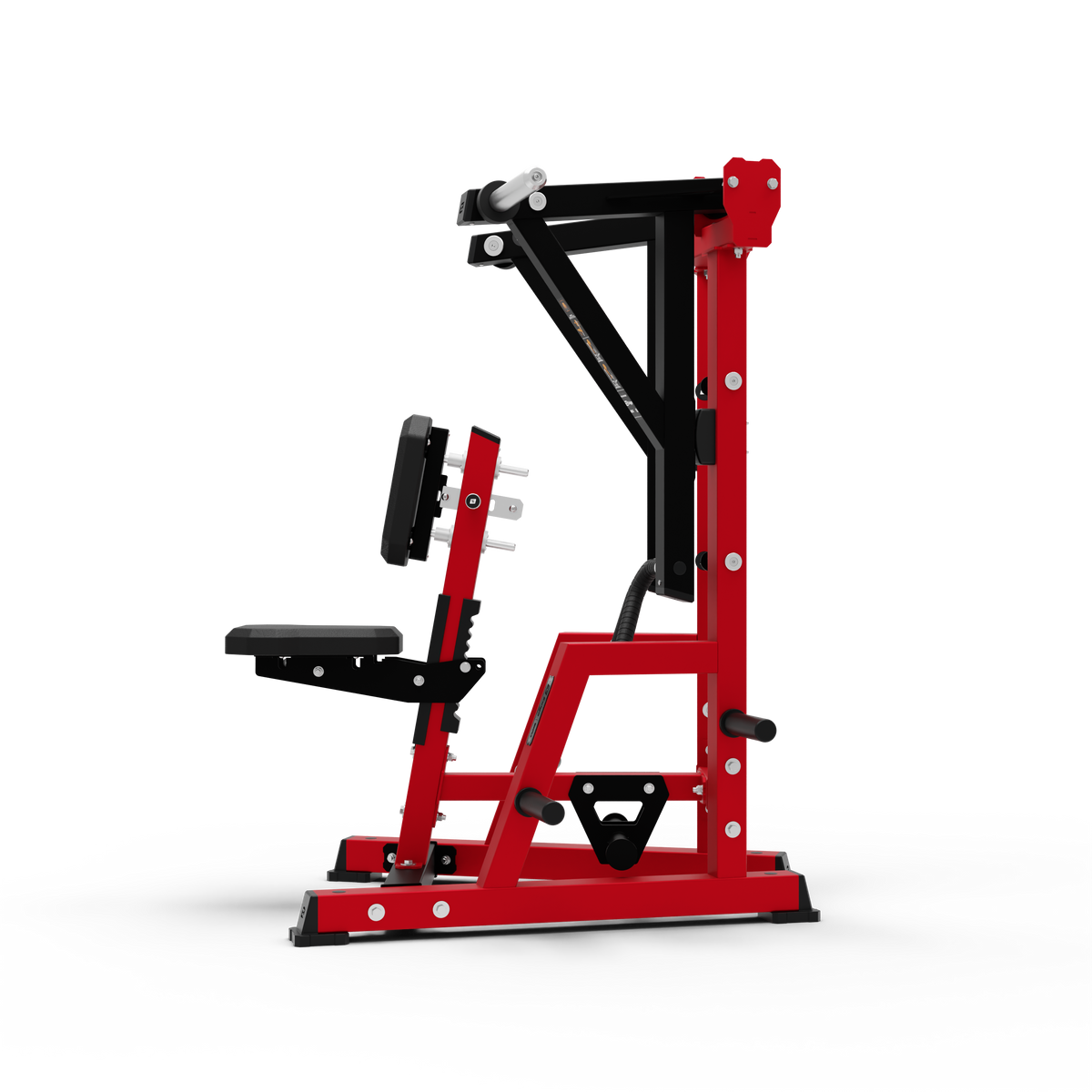 ISO Low Row
