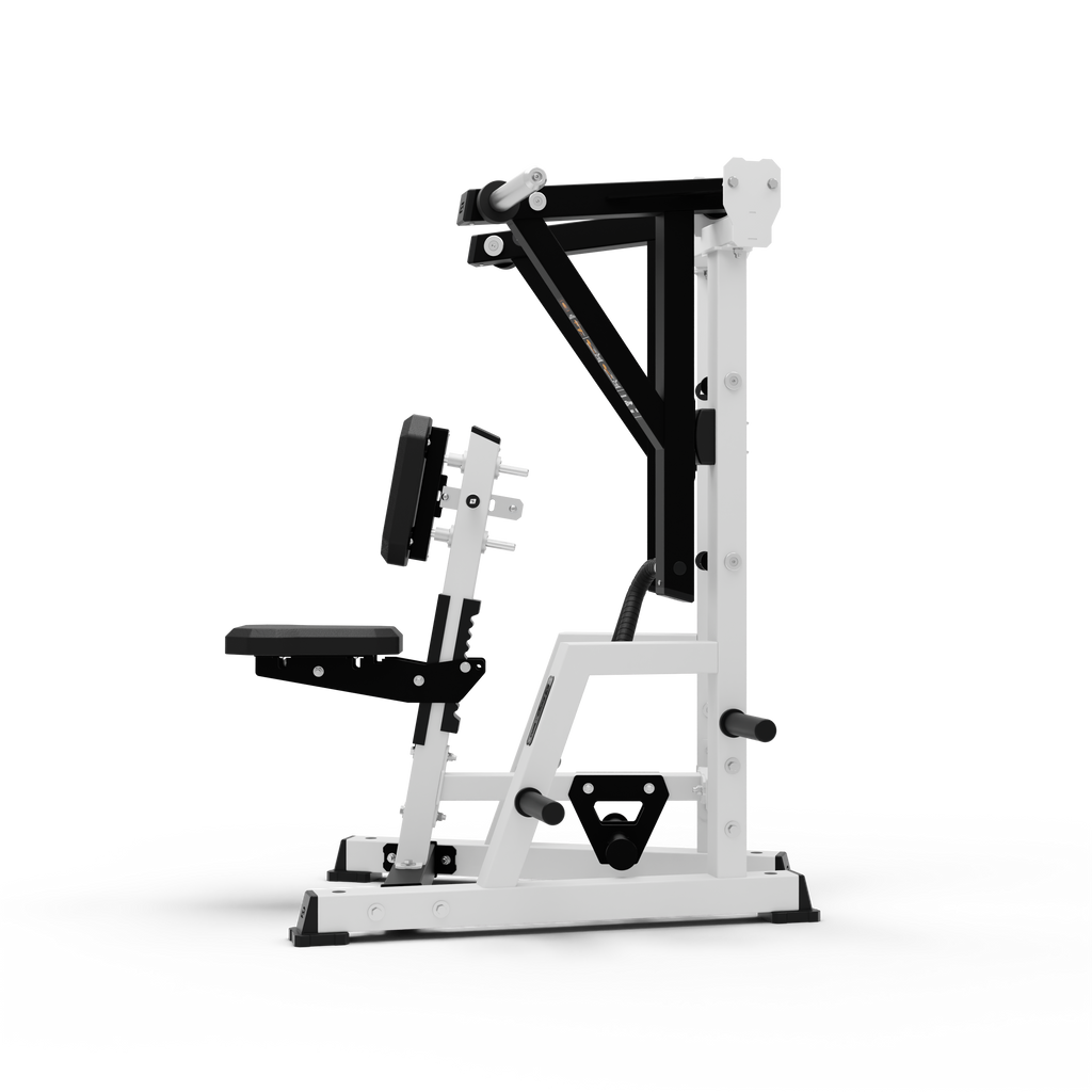 ISO Low Row