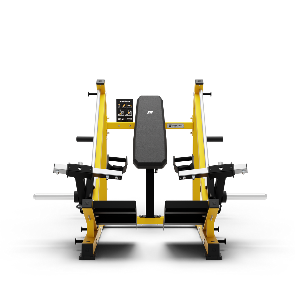 ISO Bent Over row