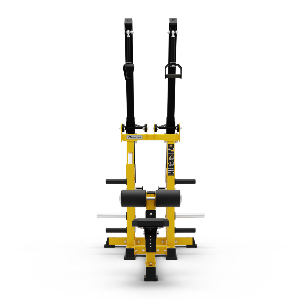 ISO Lat Pulldown