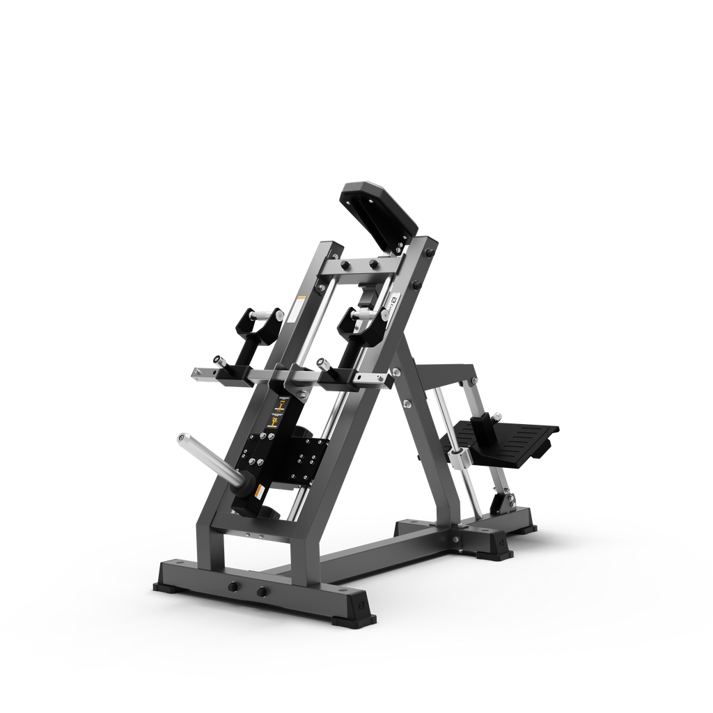 Linear T-Bar Row