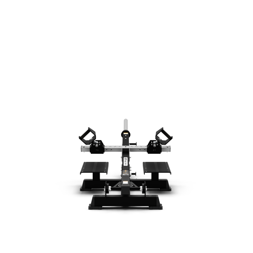 Standing T-Bar Row