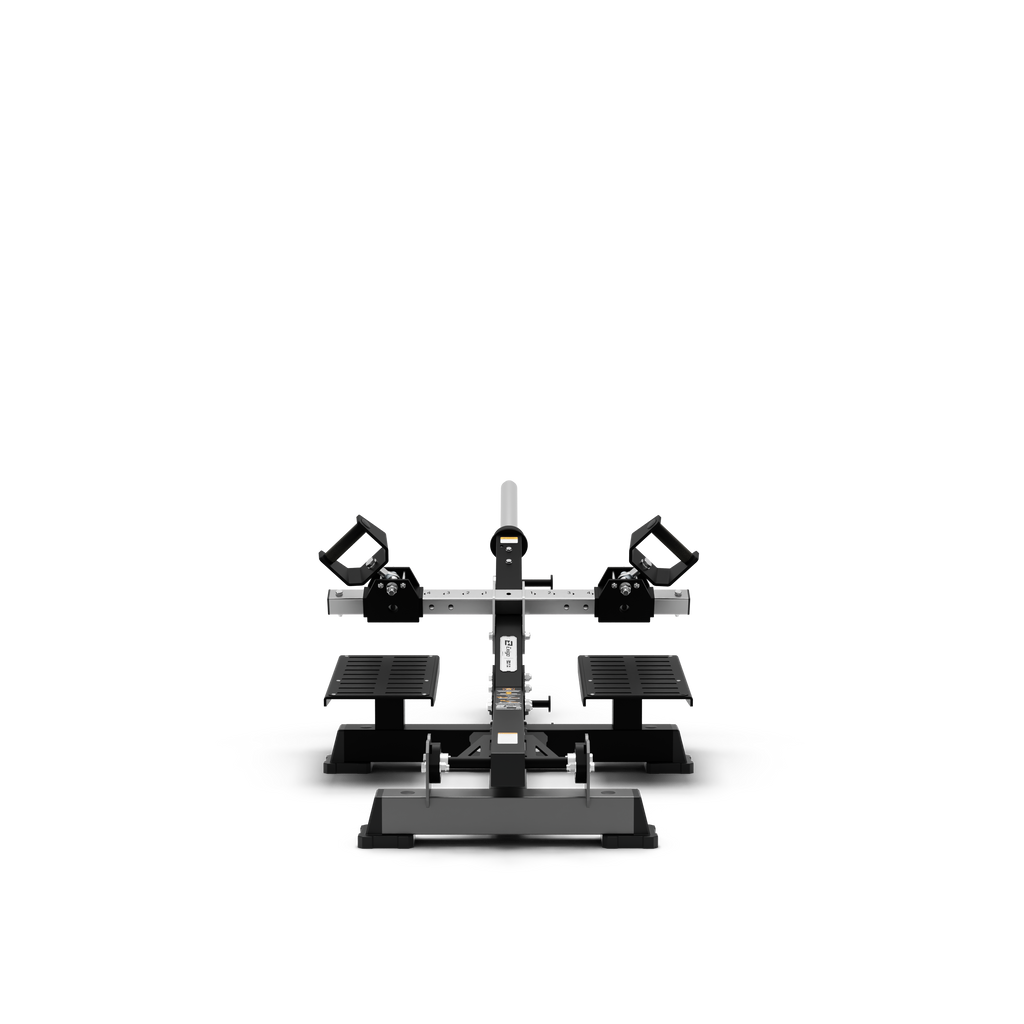 Standing T-Bar Row