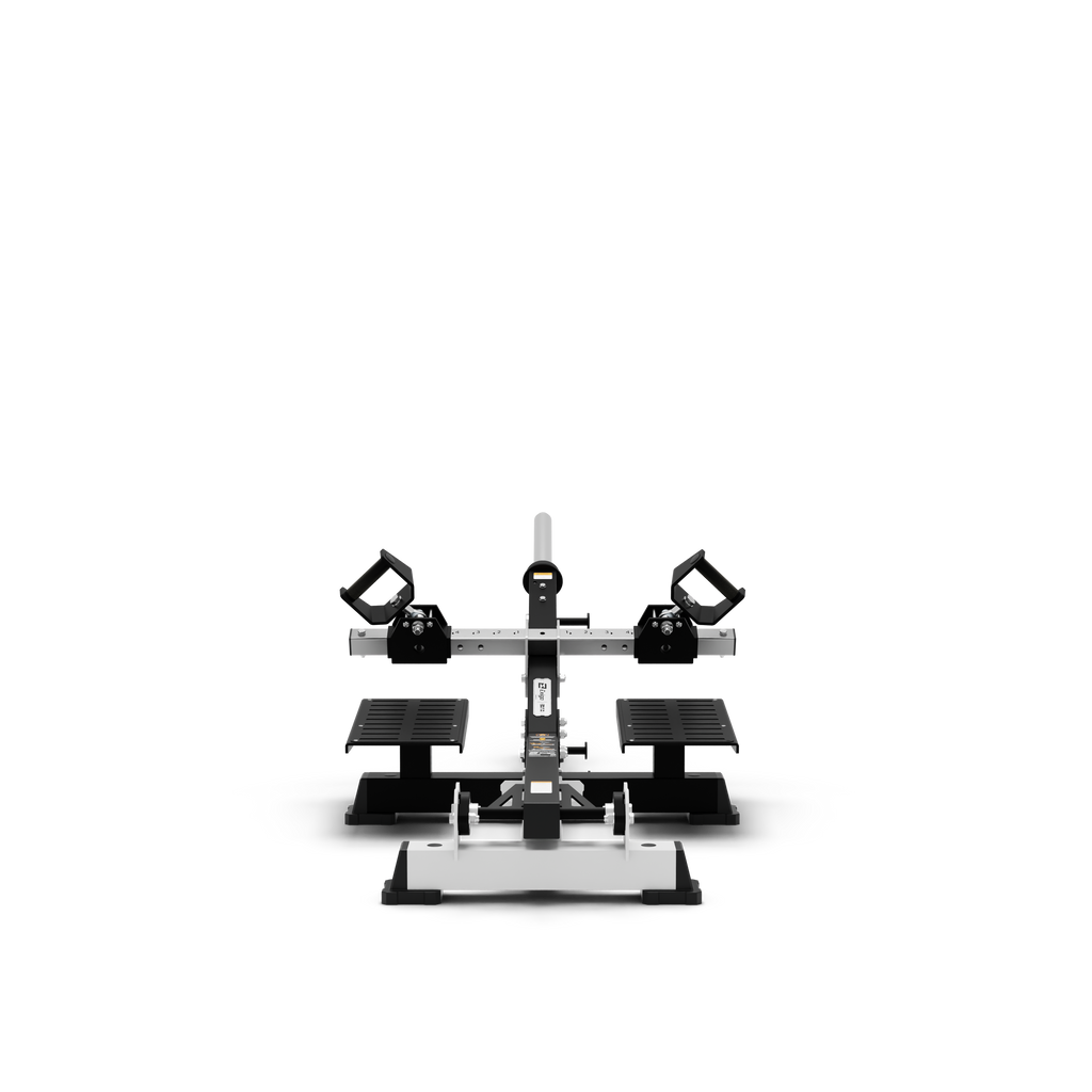 Standing T-Bar Row
