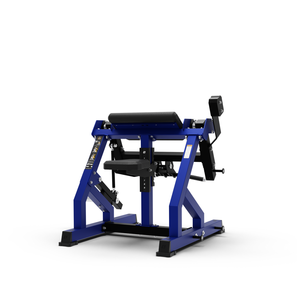 Bicep Curl