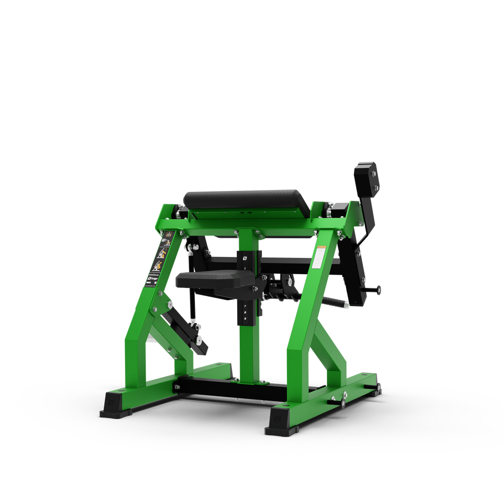 Bicep Curl