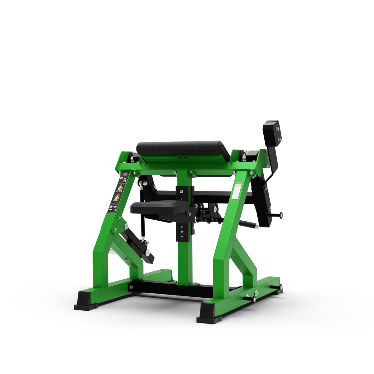 Bicep Curl