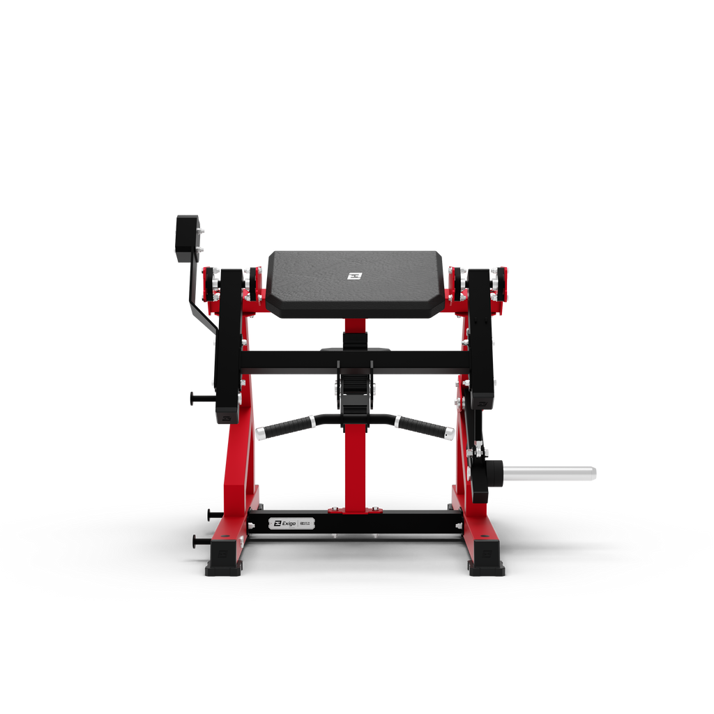 Bicep Curl