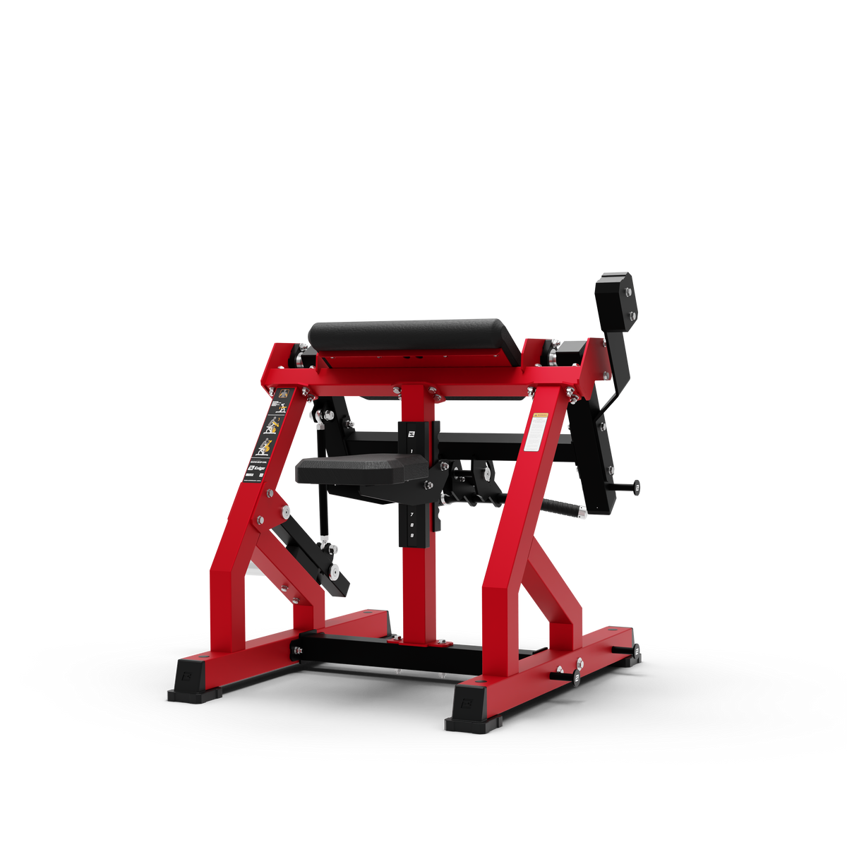 Bicep Curl