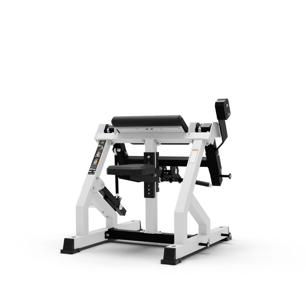 Bicep Curl