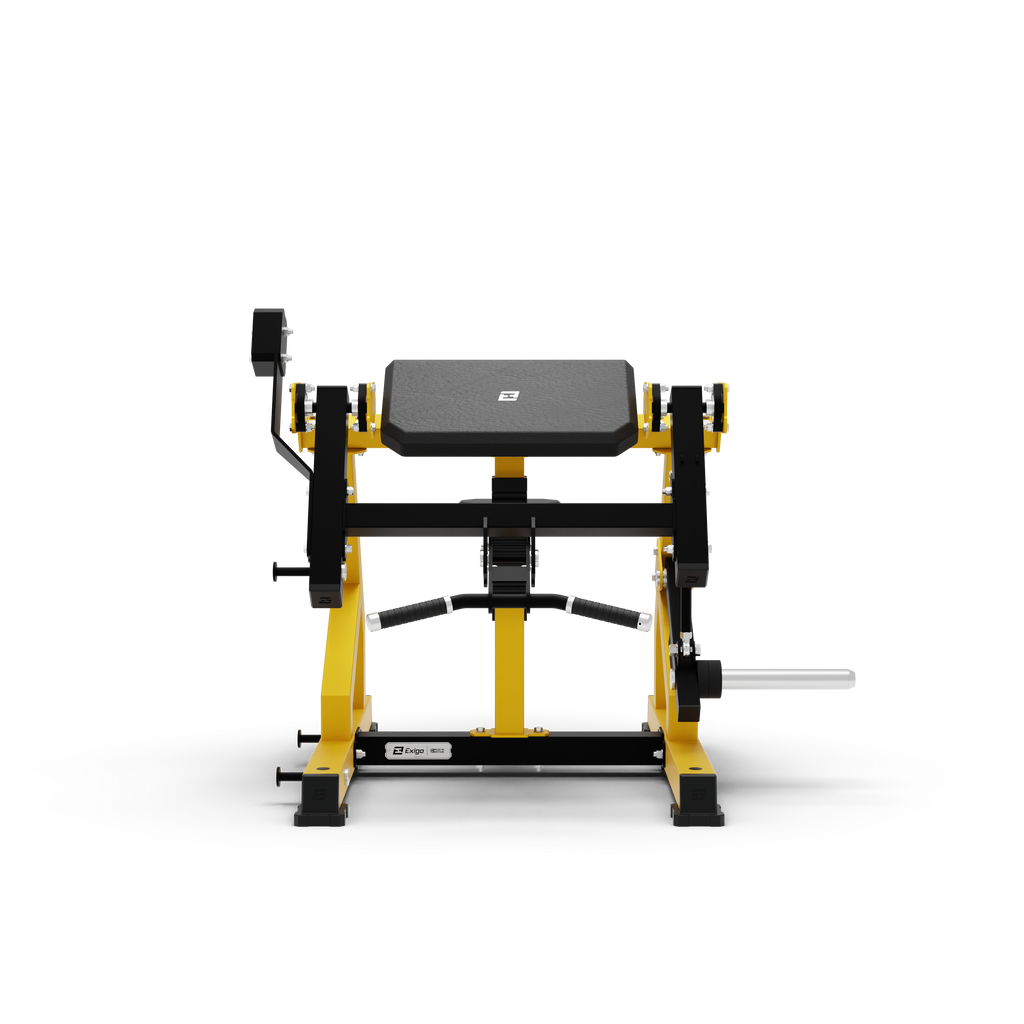 Bicep Curl