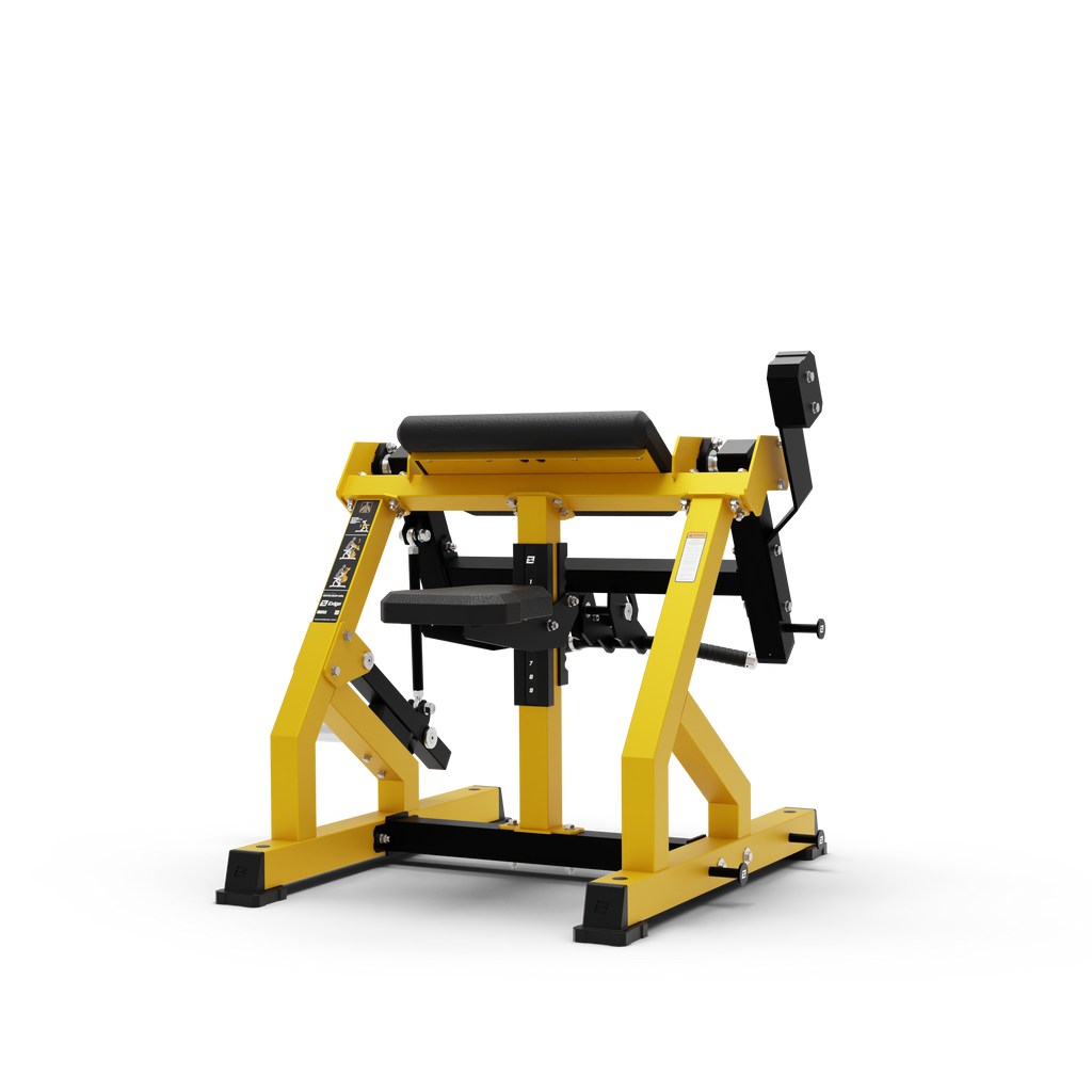 Bicep Curl