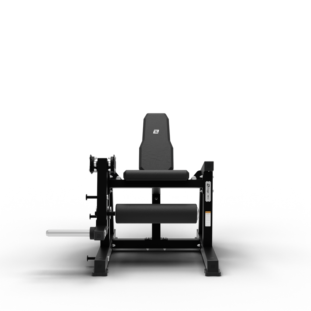 Leg Extension