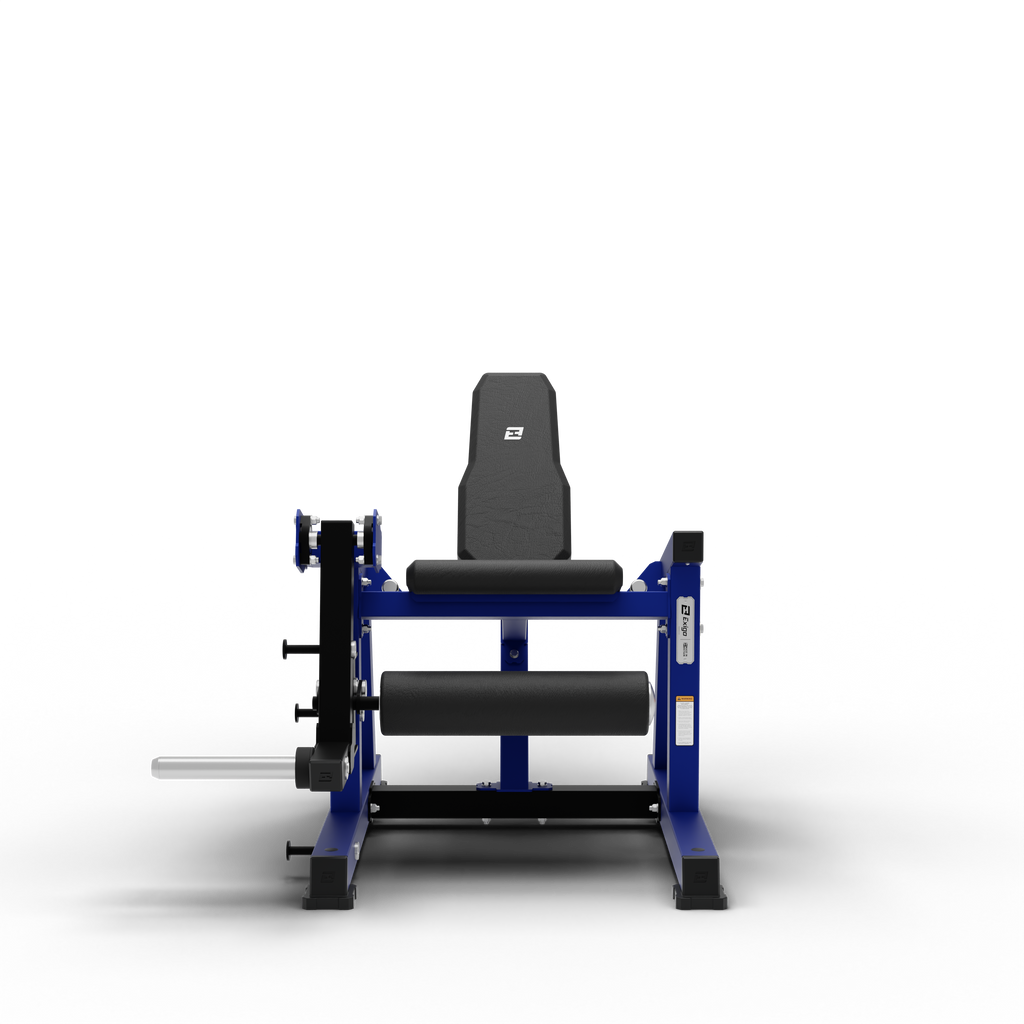 Leg Extension