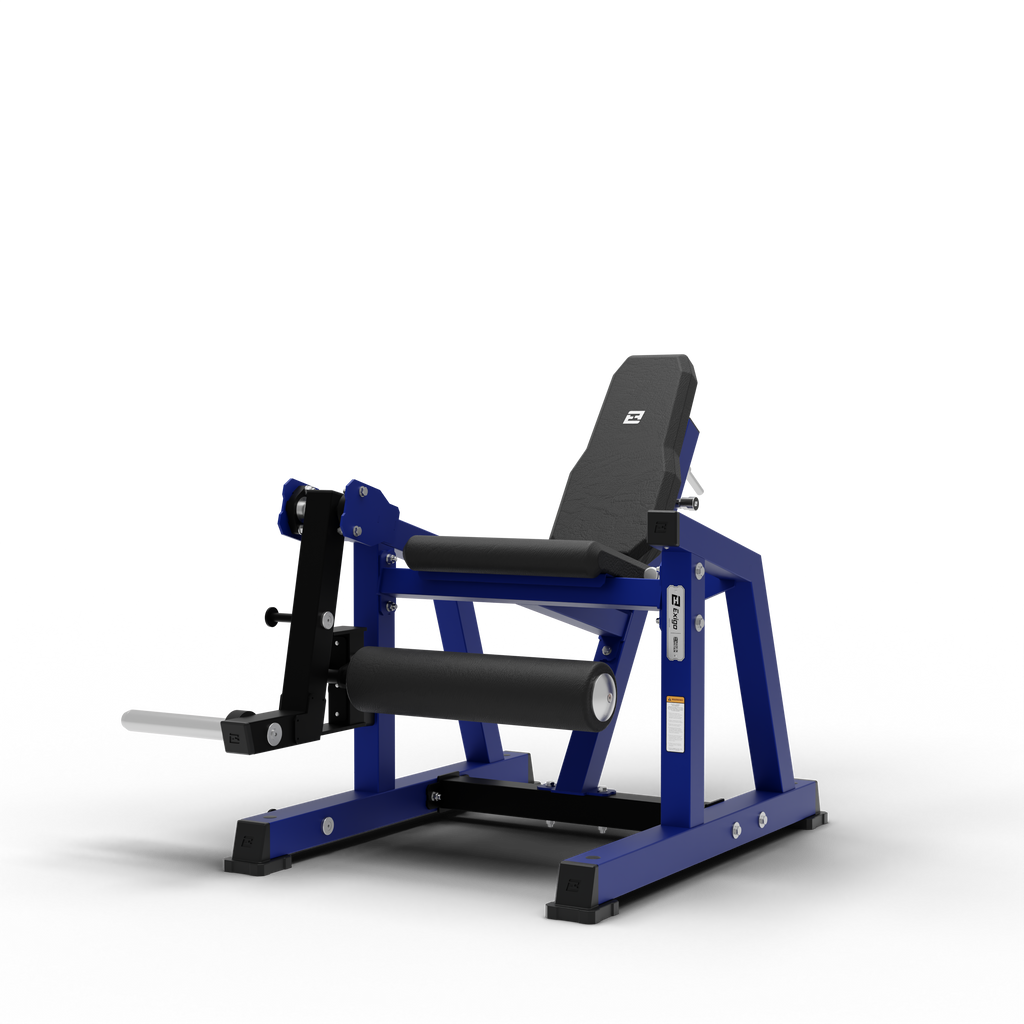 Leg Extension