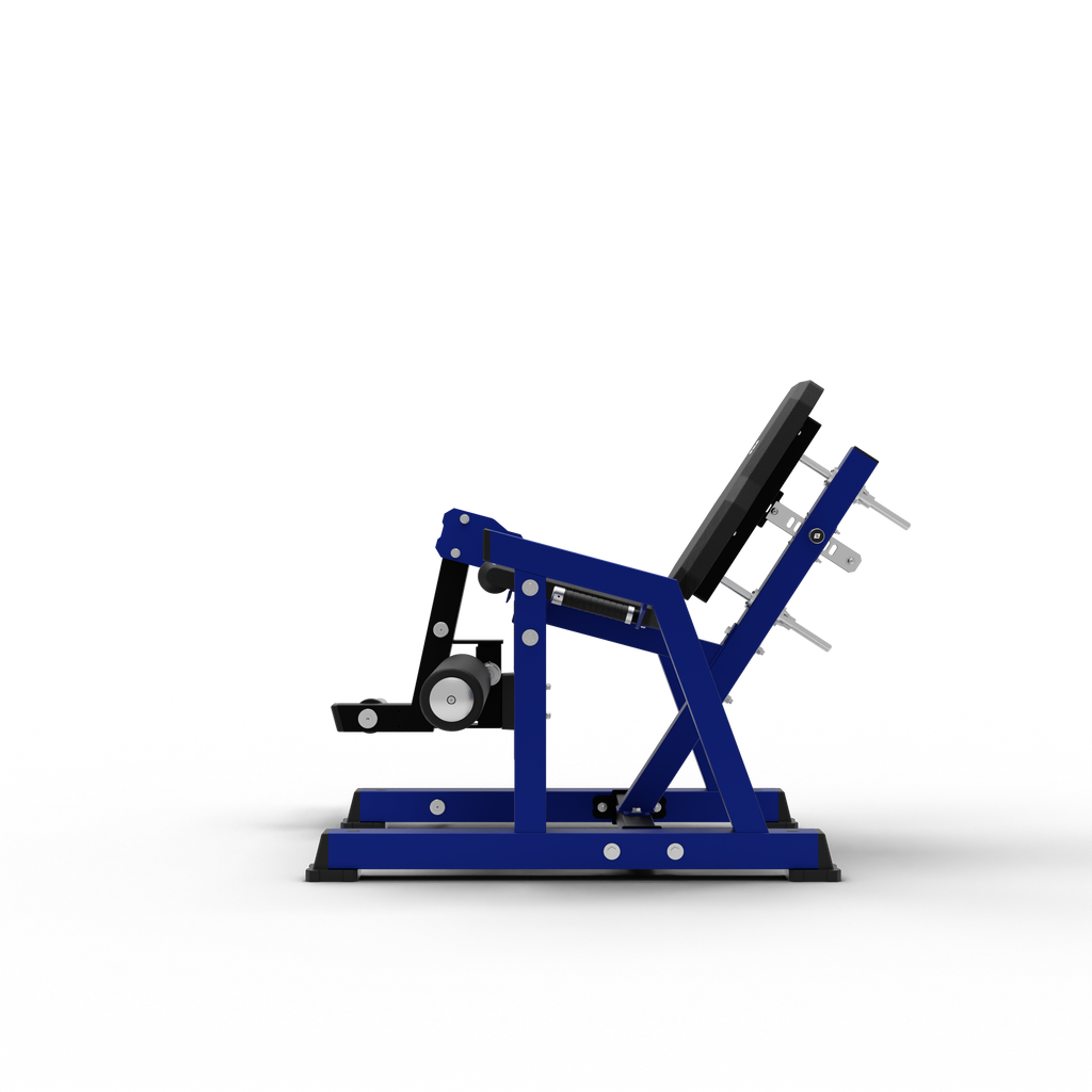 Leg Extension