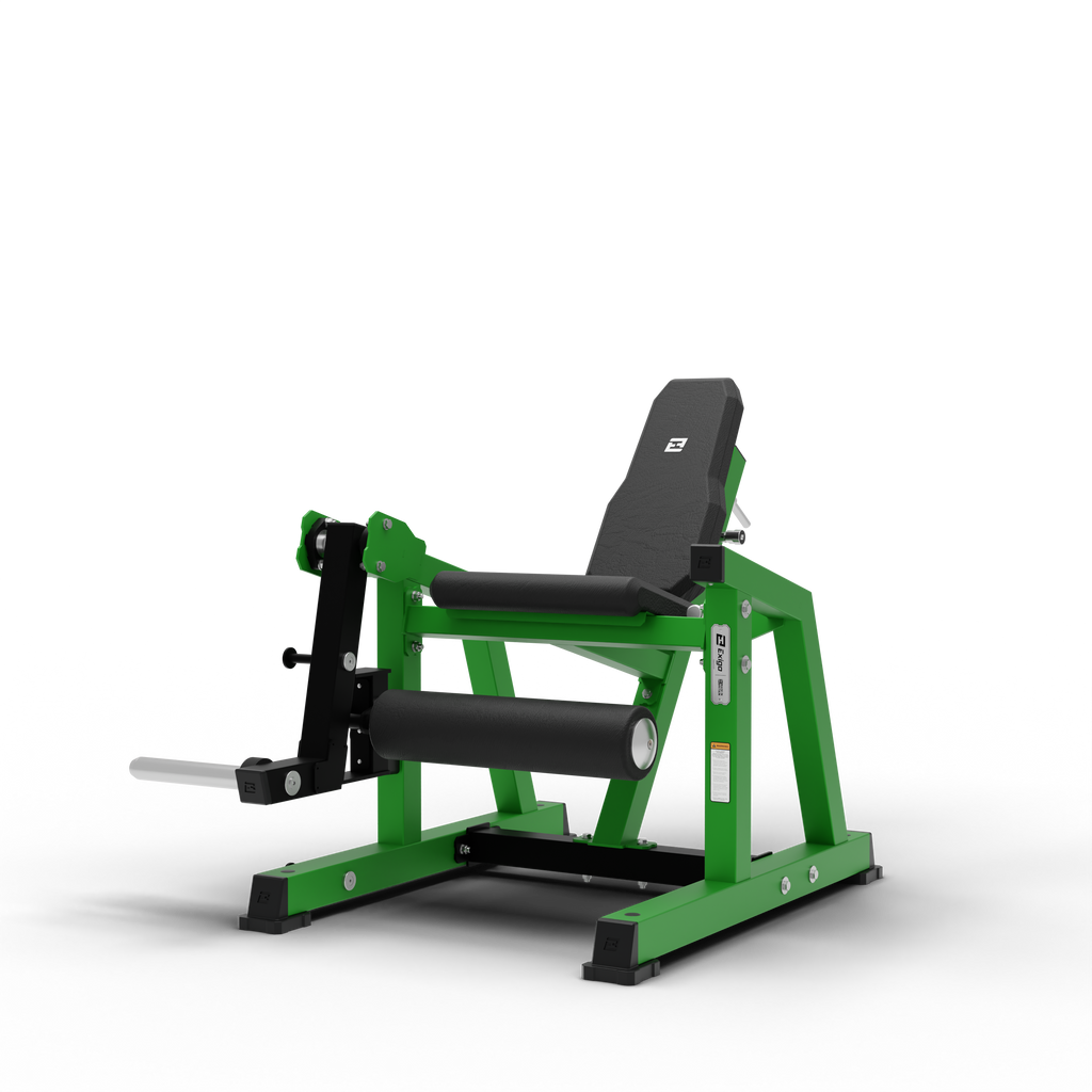 Leg Extension