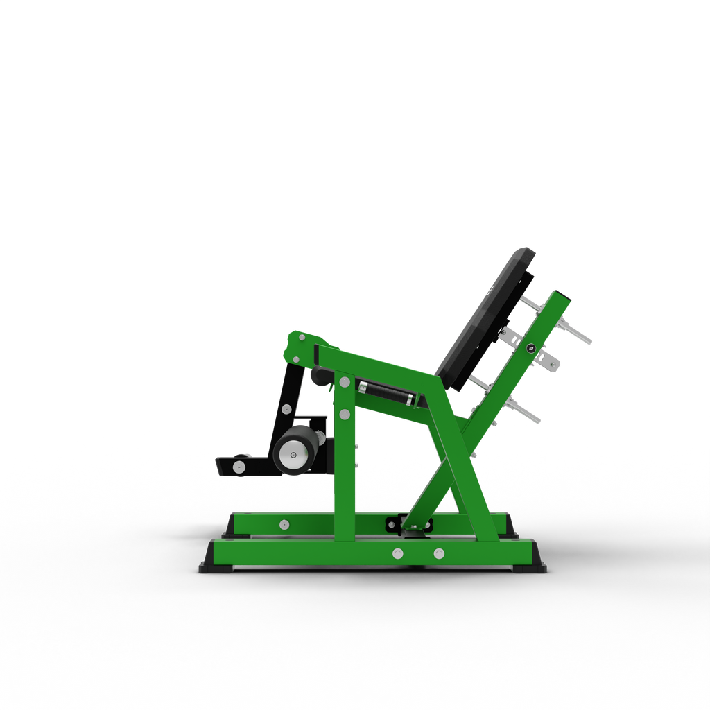 Leg Extension