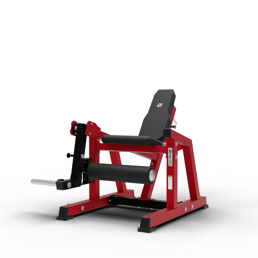 Leg Extension
