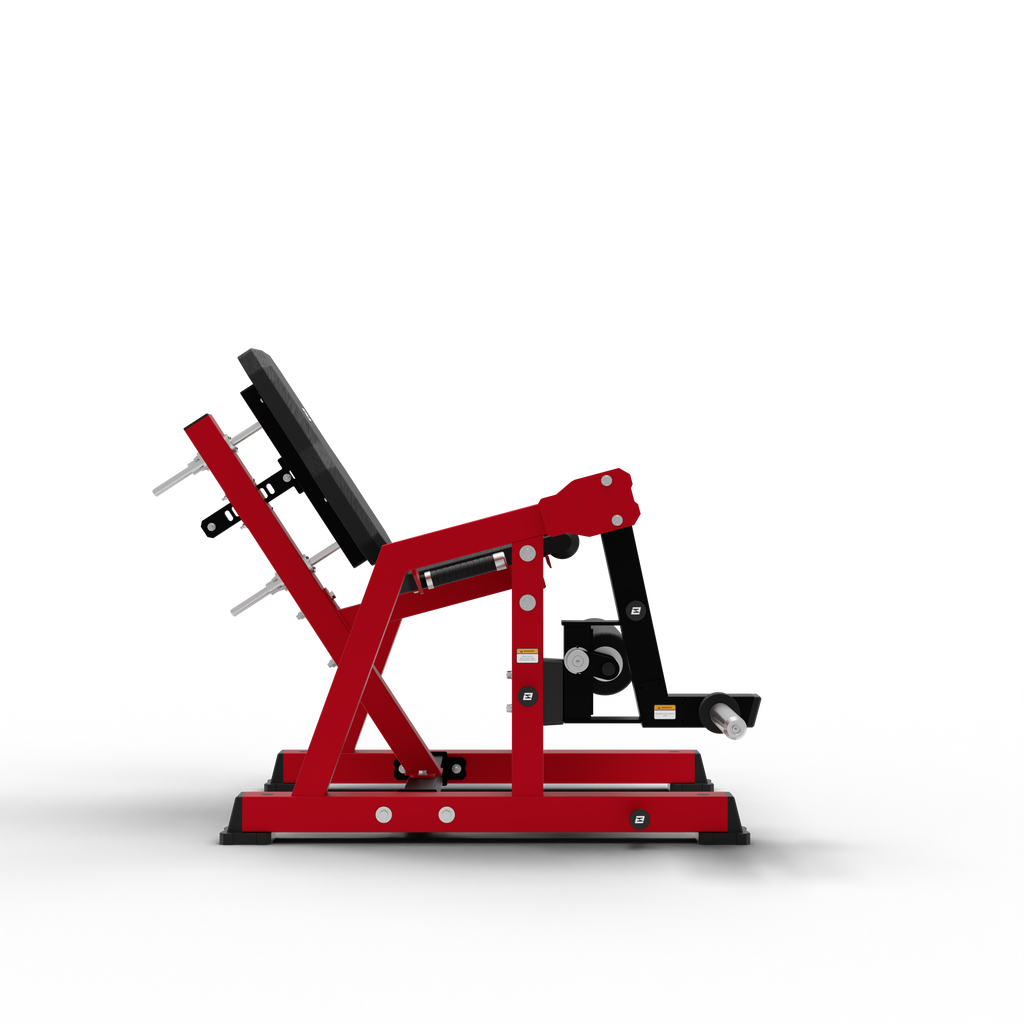 Leg Extension