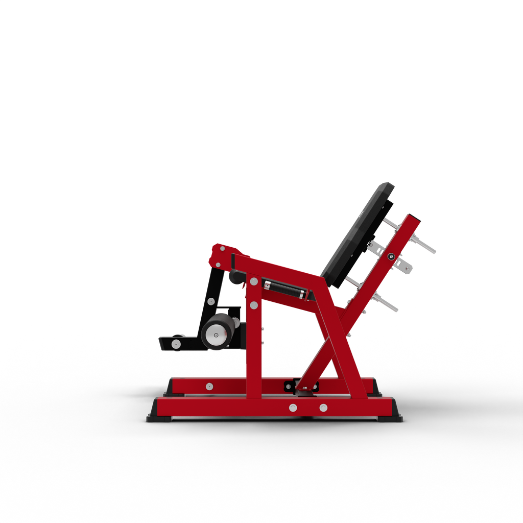 Leg Extension