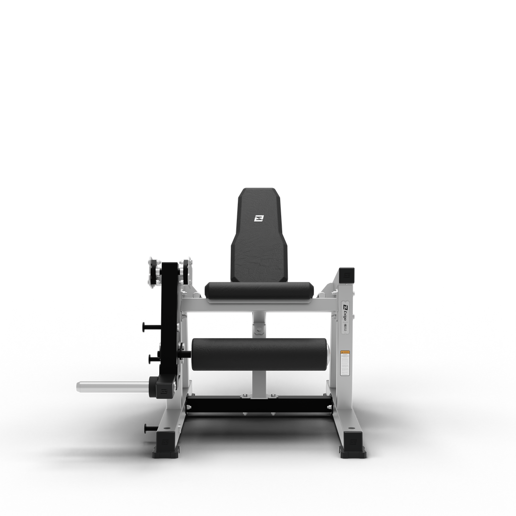 Leg Extension