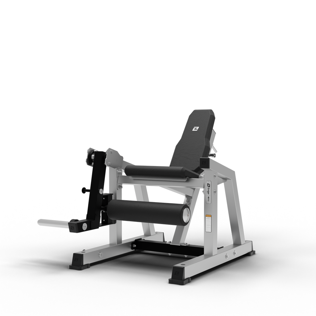 Leg Extension