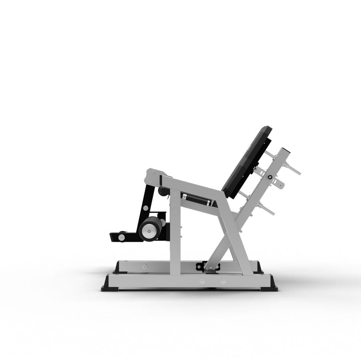 Leg Extension